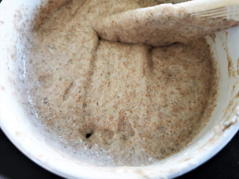 Hur ska en färdig/aktiv surdeg se ut?