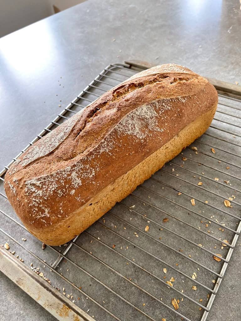 Surdegsbröd - rostebröd